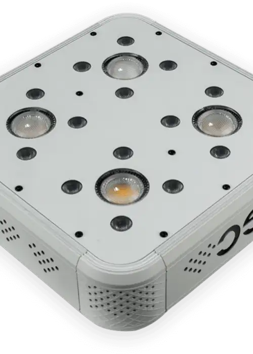 GC 4 COB LED