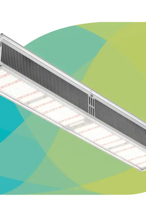 GC Horti 310 Watt LED