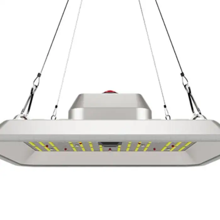GC-Pure LED