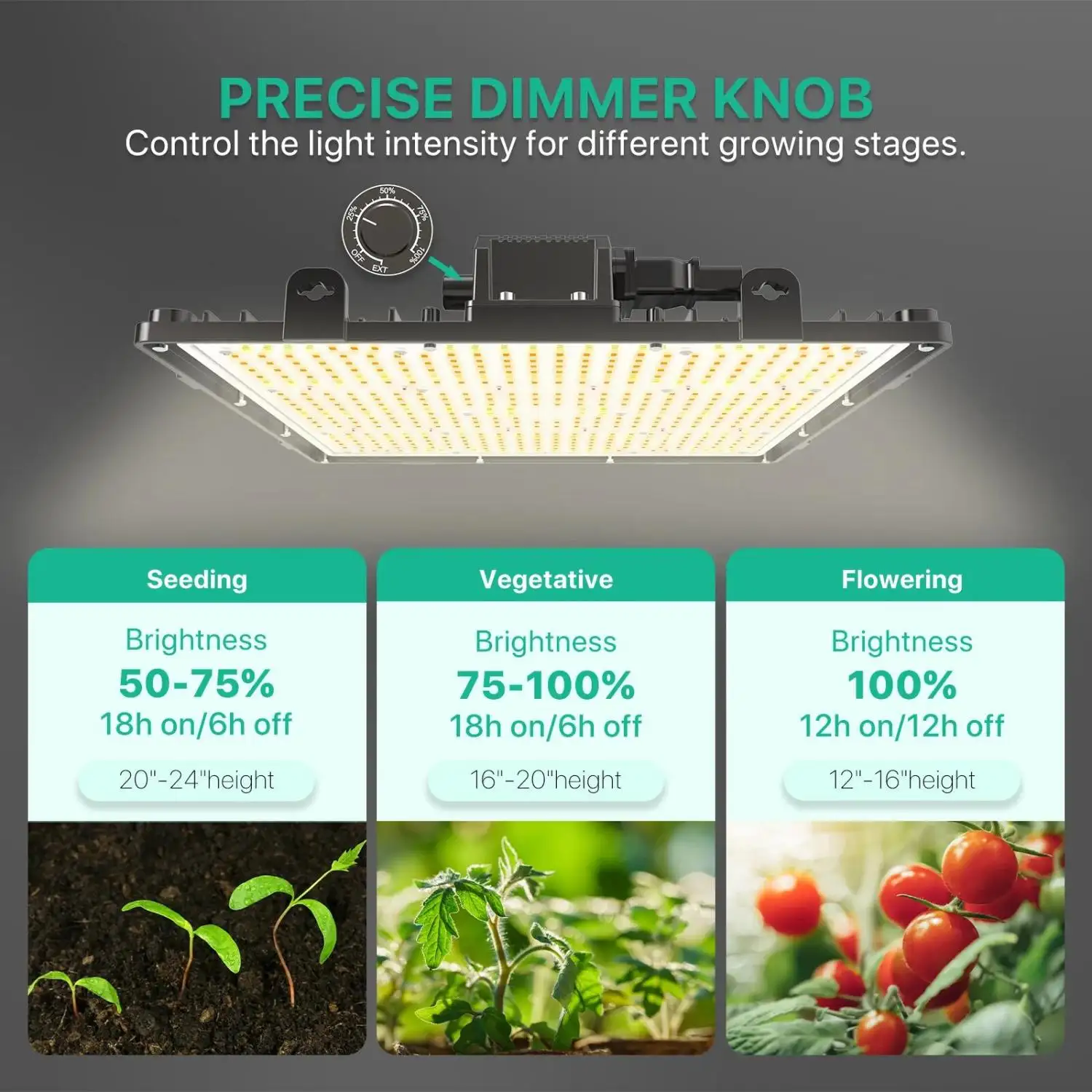 O+ Series 150W