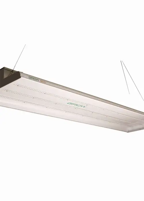 Grow 300 LED
