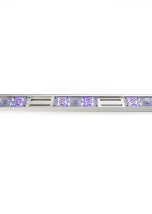 BluRail 120 Watt