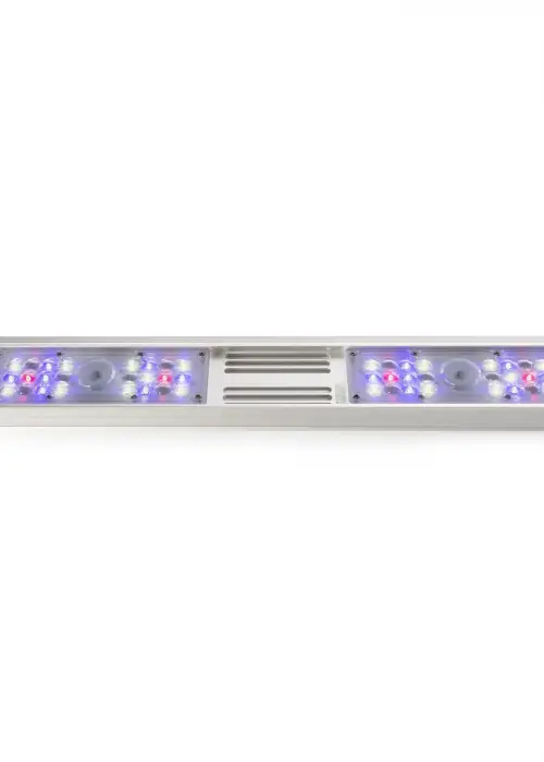 BluRail 80 Watt