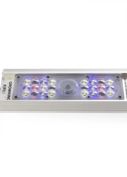 BluRail 40 Watt
