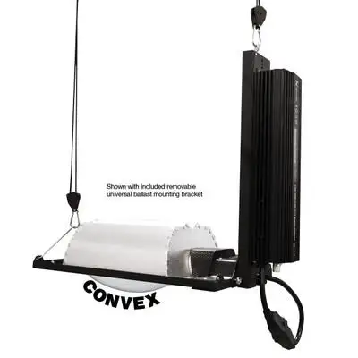 HSE-Convex SE System
