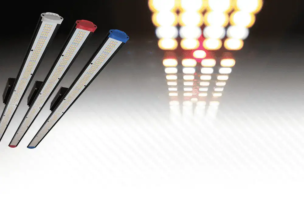 Varius LEDs