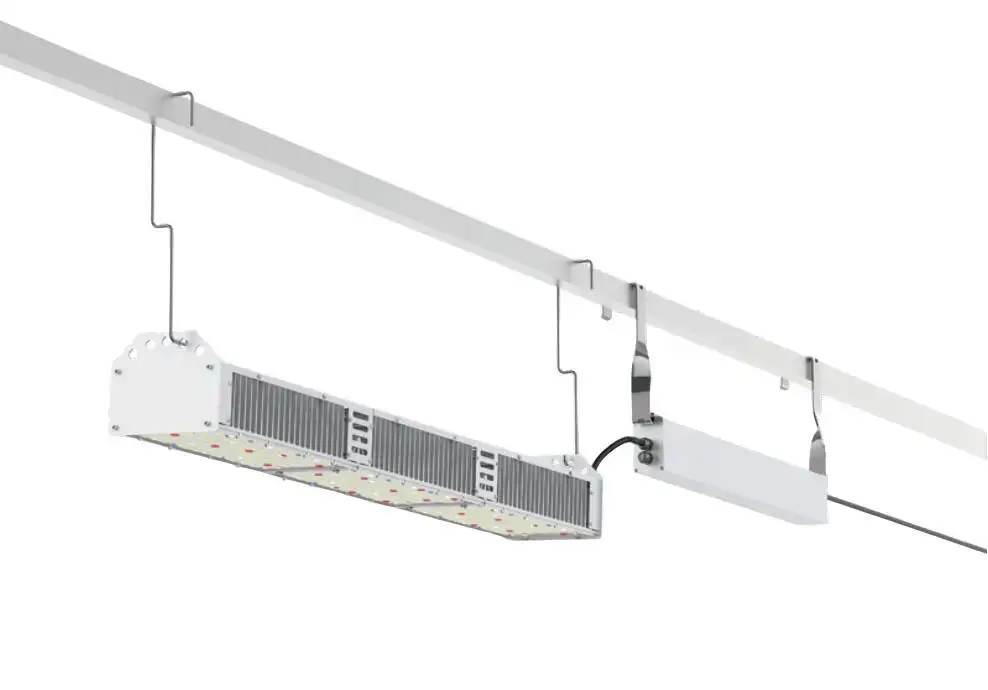 G66-01 - Linear Top Lighting