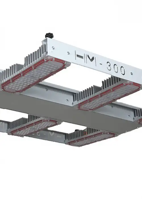 HM Parius 300