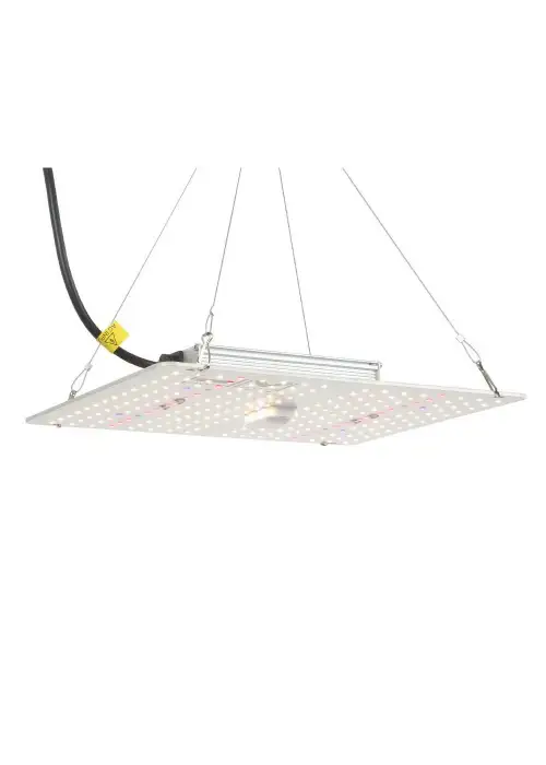 HM Quantum Board 100W Eco