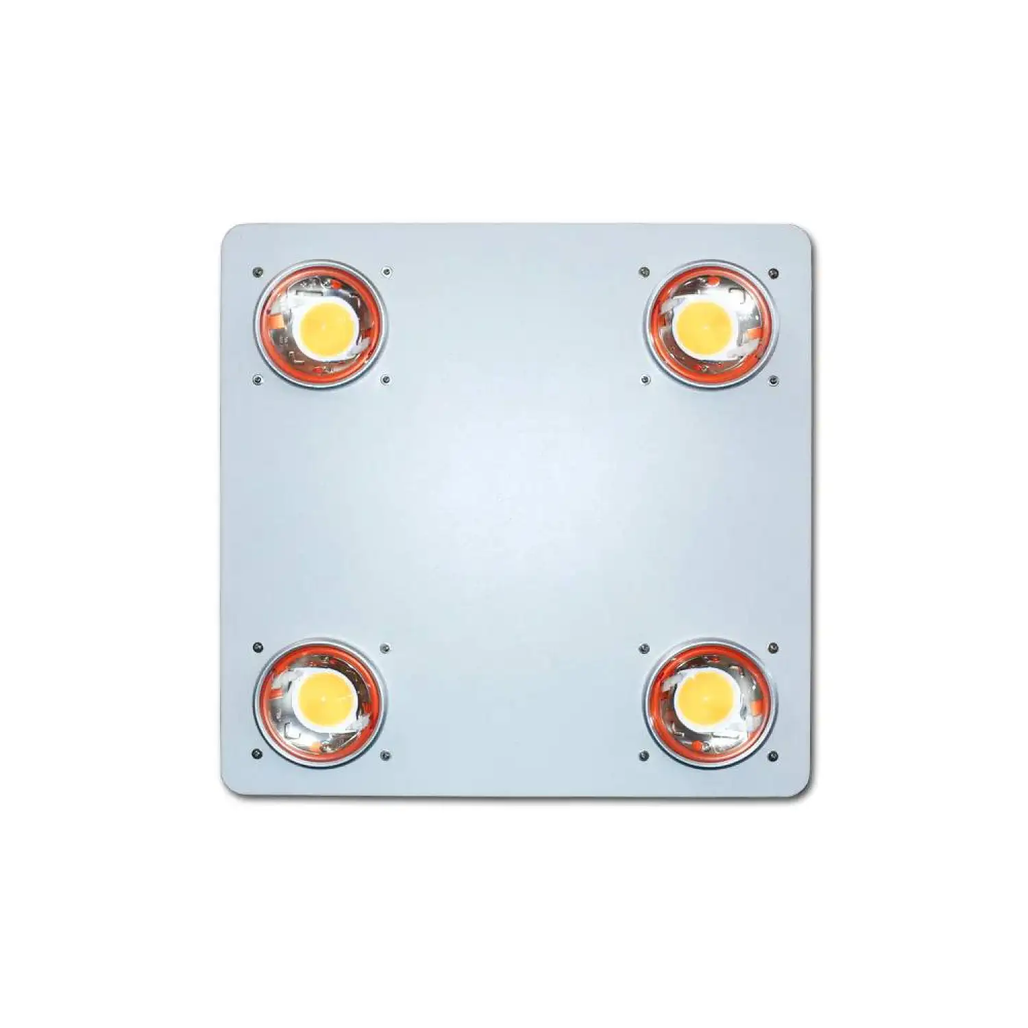 Luma P4