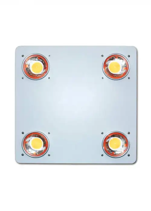 Luma P4