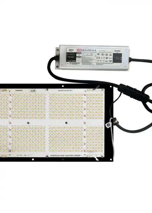 HLG 200 DIABLO LED Grow Light