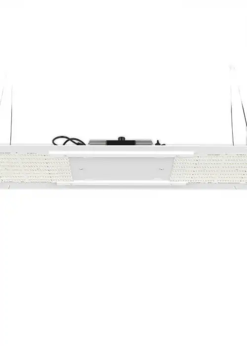 HLG 250 VEG PRO LED Grow Light