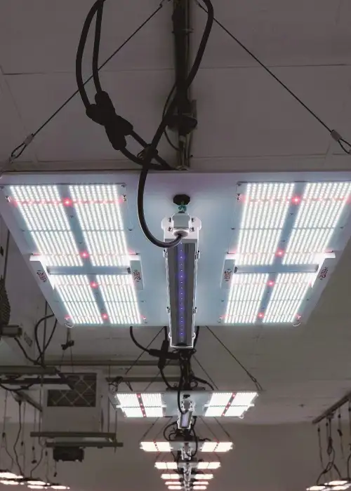 HLG 30 UVA LED Bar