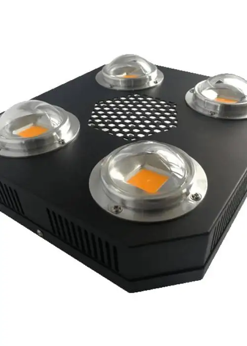 Proton Pro 200W