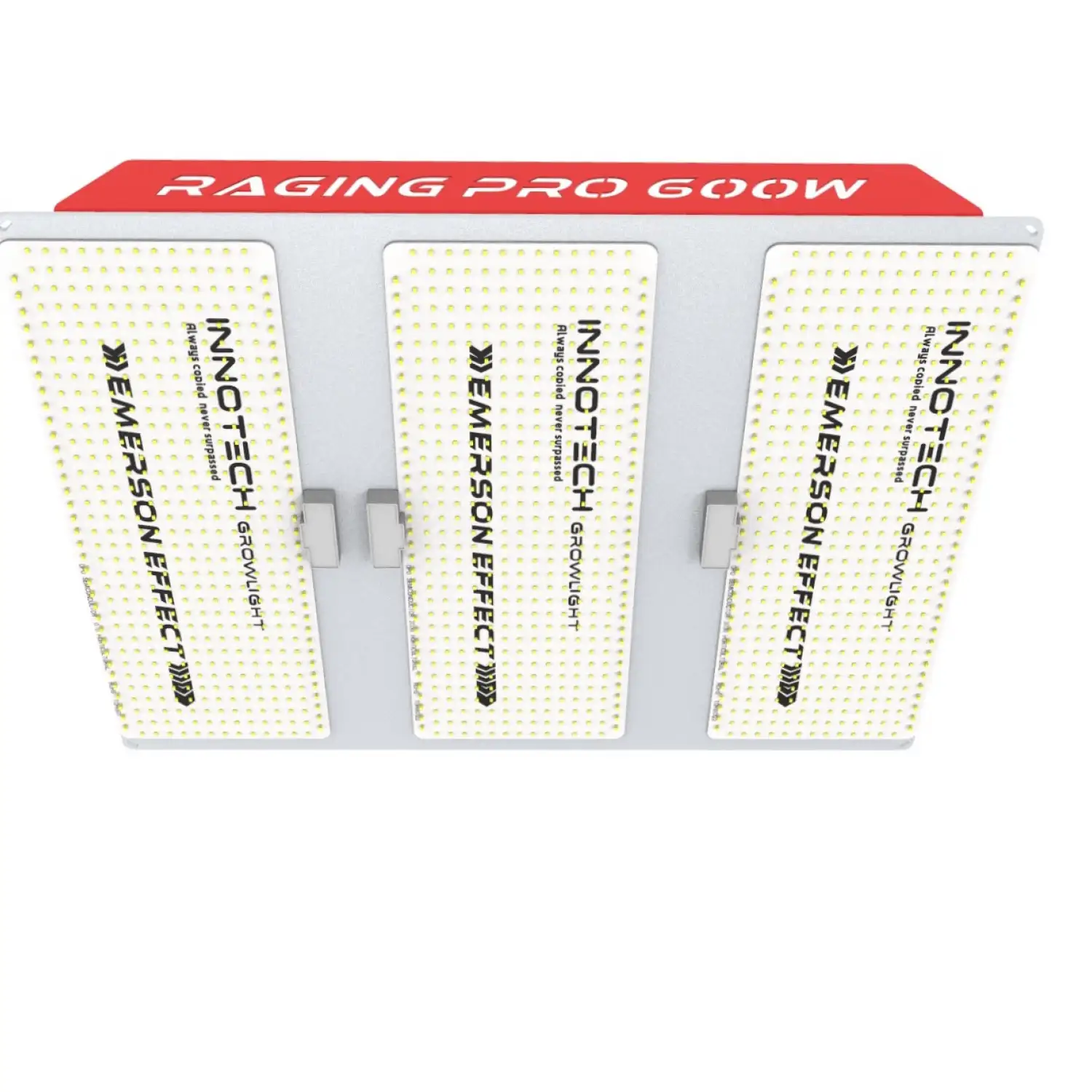 Raging PRO 600W