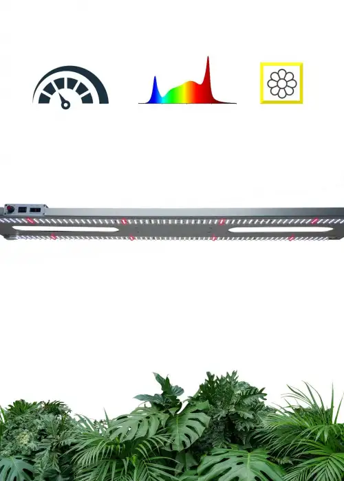 F Bar Pro