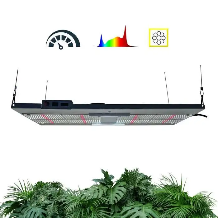 ISH265 V5 Evo