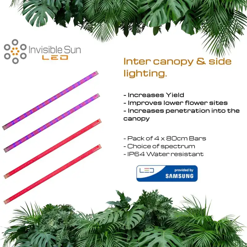 SL 80 Inter-Canopy & Side Lighting LED Set (4-Pack)