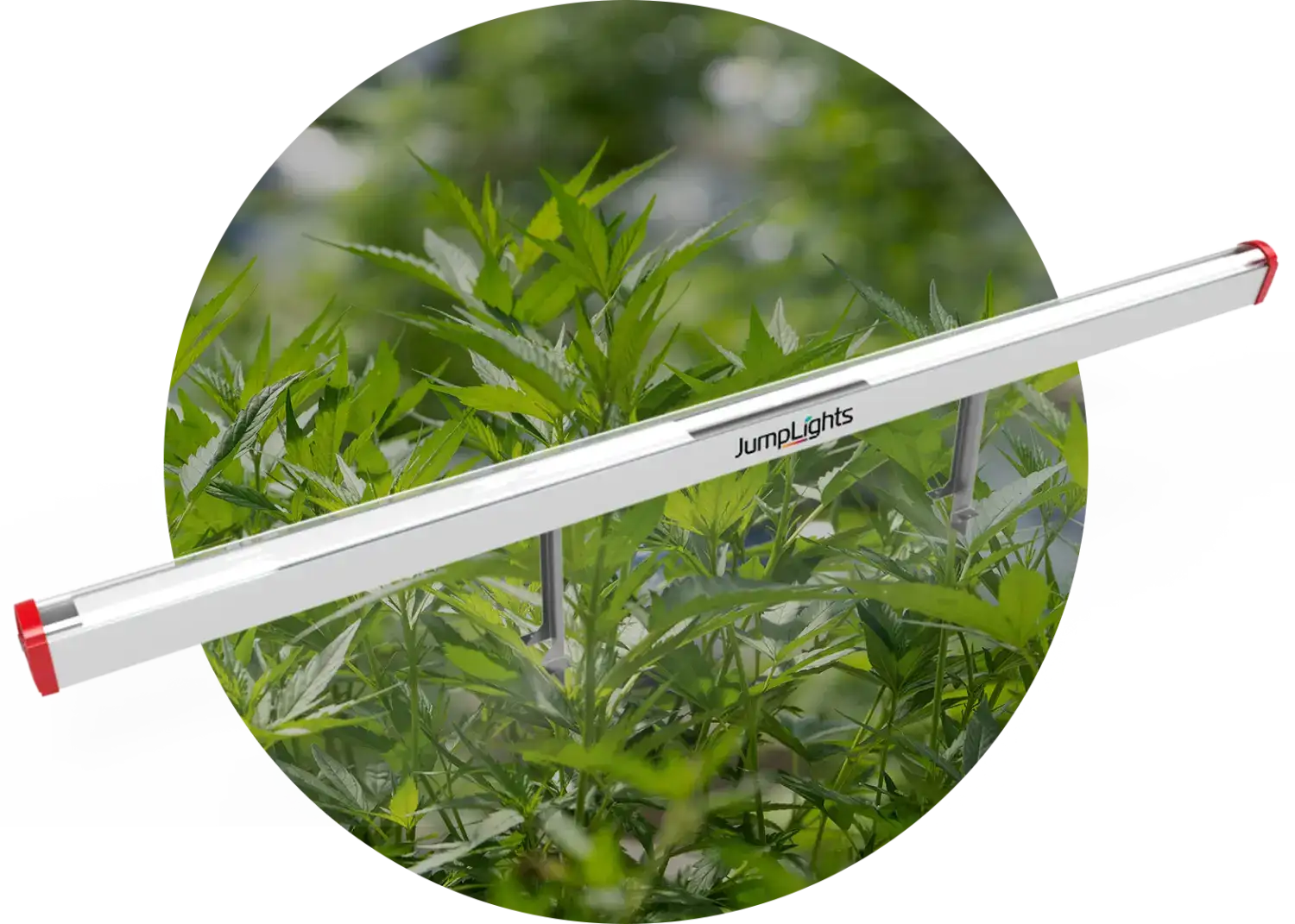 Catalyst Mobile 340W