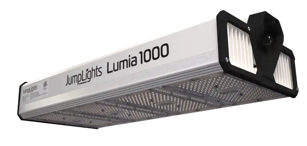 Lumia 1000W 5C