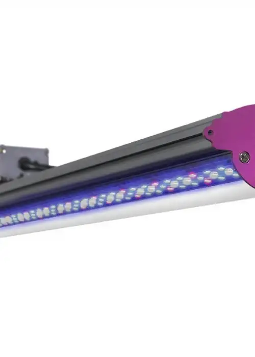 KIND LED X40