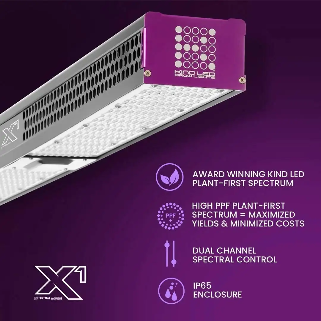Kind LED X1
