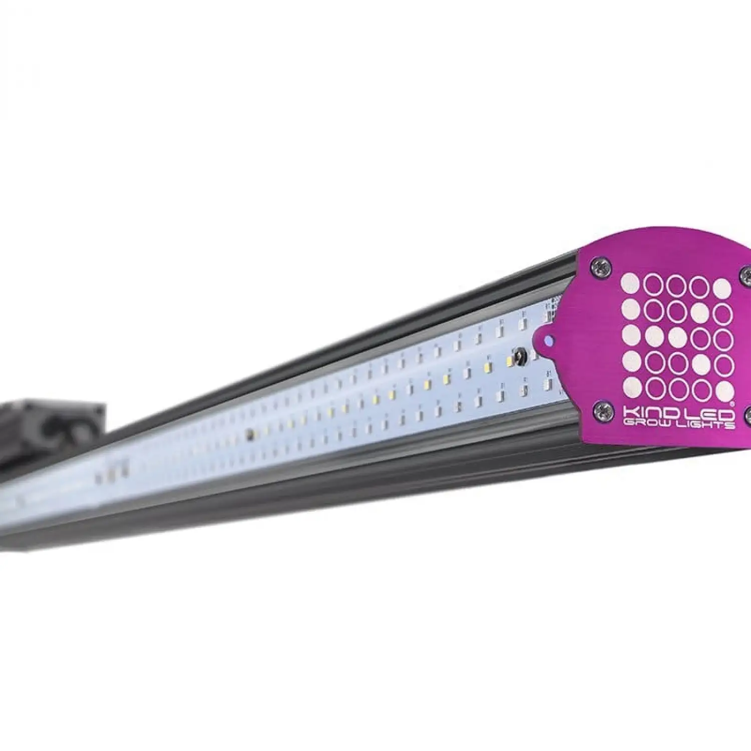 KIND LED XD150