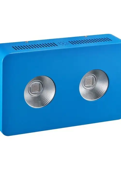 Dominator 600W