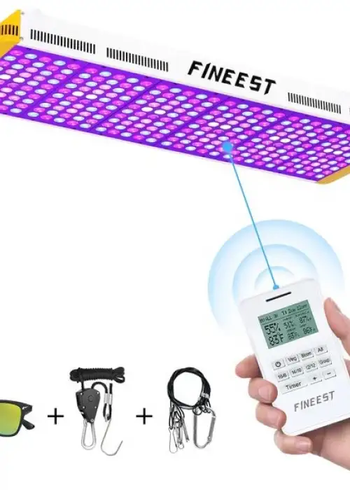 Fineest 3000W