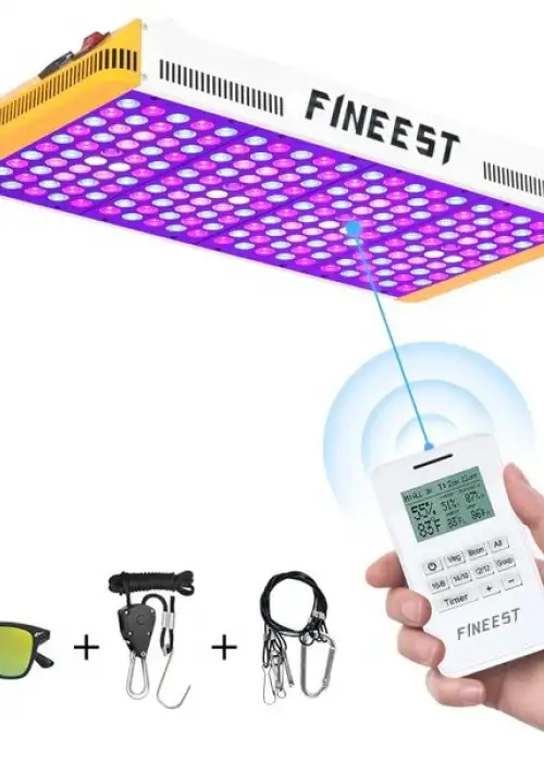 Fineest 2000W