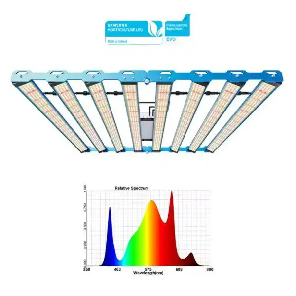 P55 800W Rotatable LED