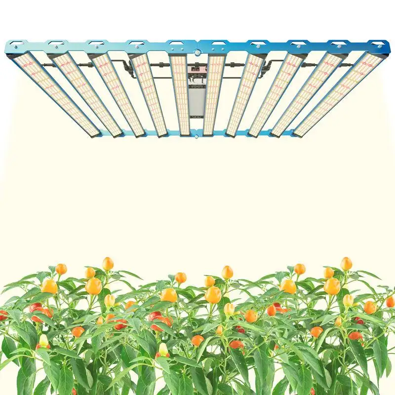 P55 1000W Rotatable LED