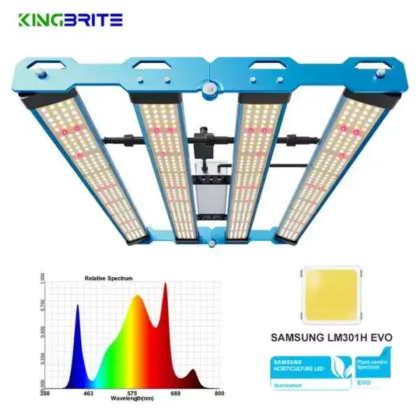 P55 240W LED