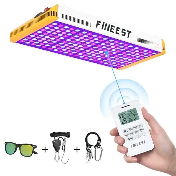 Fineest 2000W