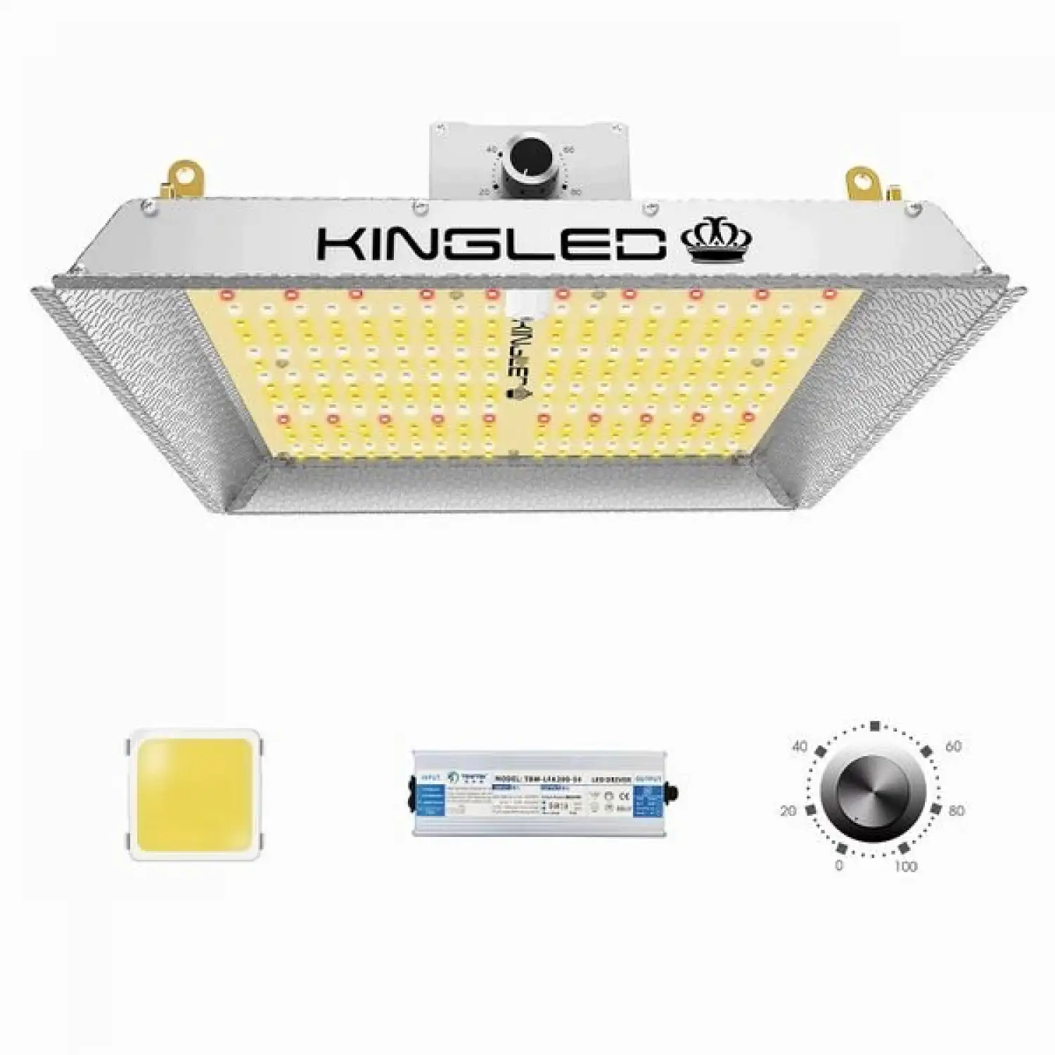 KING 1000W Quantum