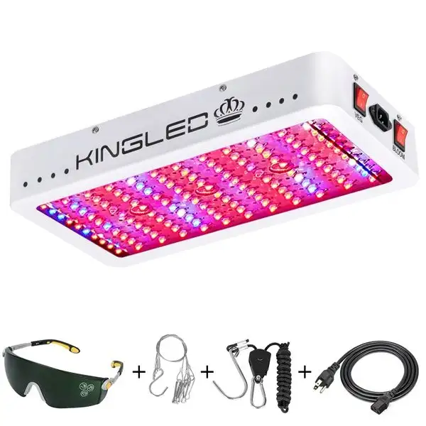King Plus 1200W