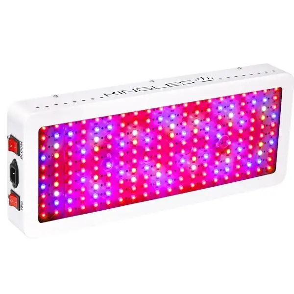 King Plus 2000W