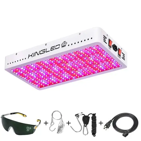 King Plus 3000W