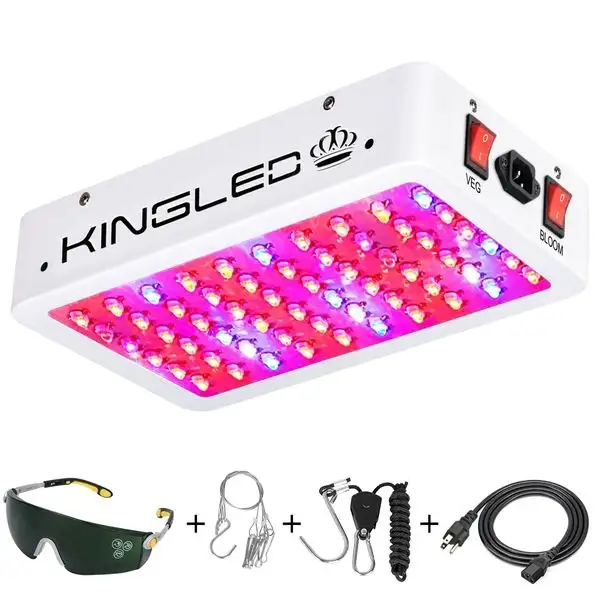 King Plus 600W