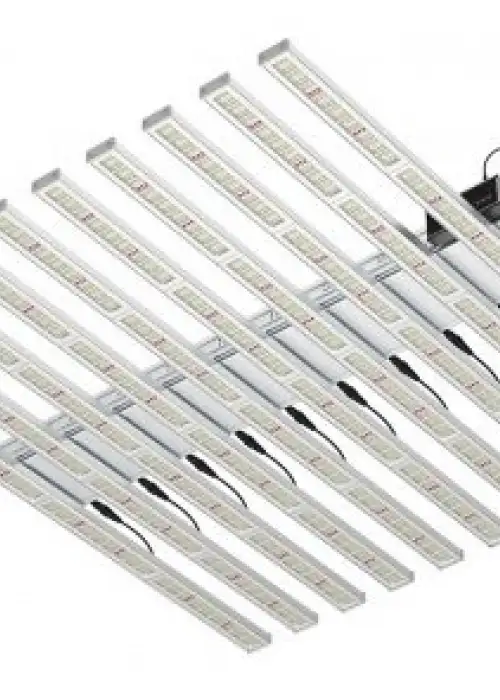 NEMA 800W