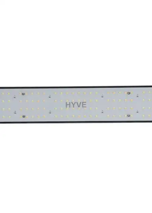 HYVE-100