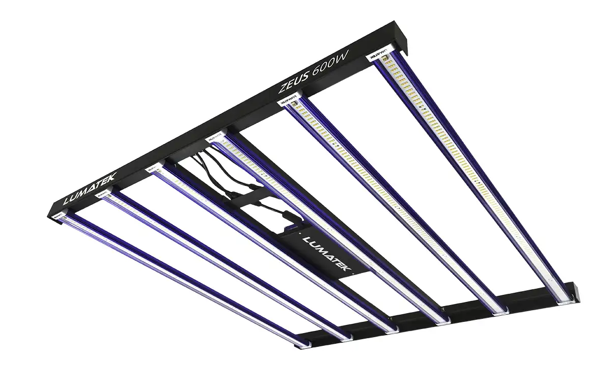 Zeus 600W LED