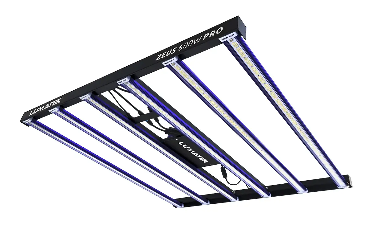 Zeus 600W PRO LED