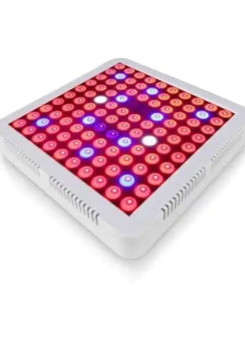 SQ300