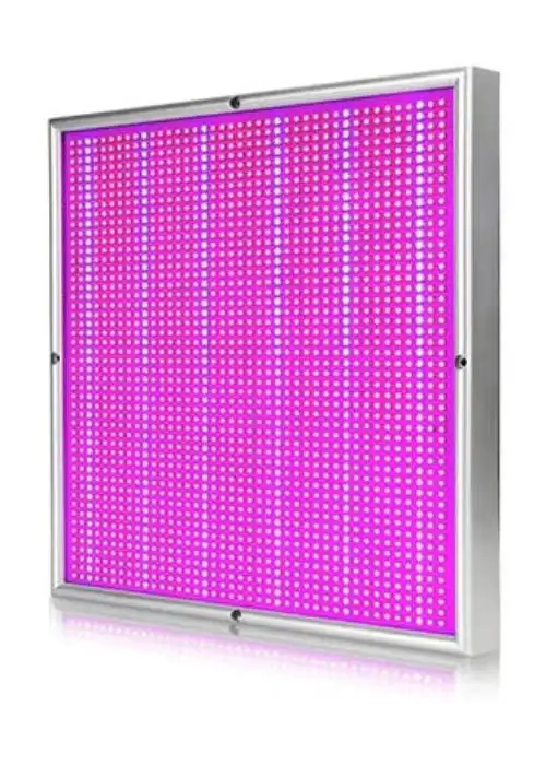 SQ200