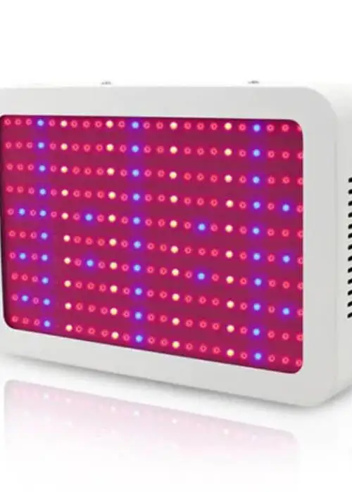 PNLX1000