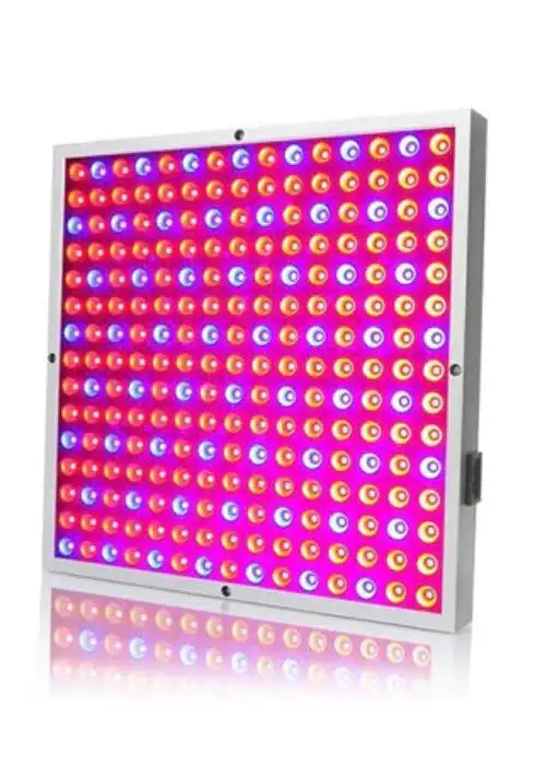 SQ100