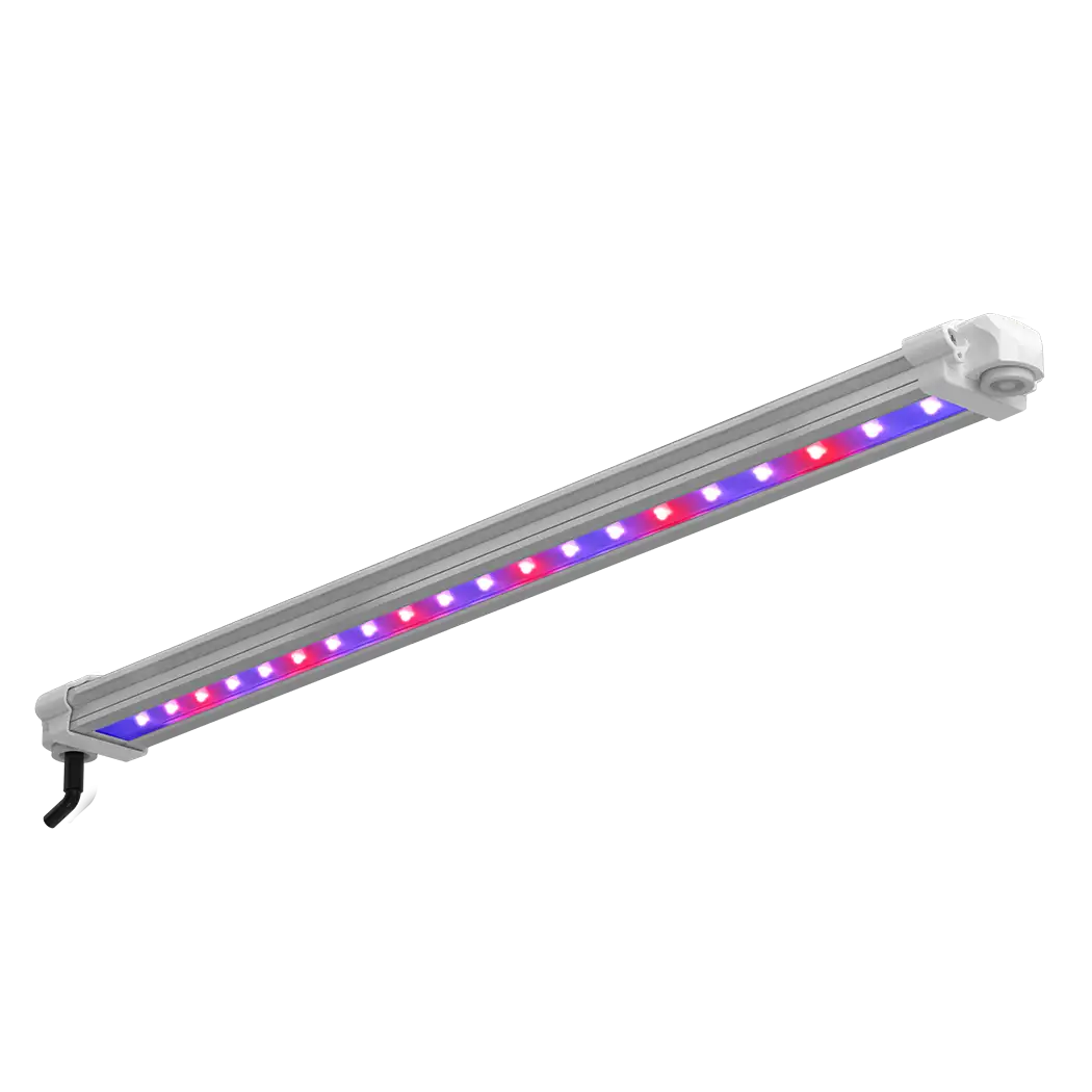 Black 30W UV/FR