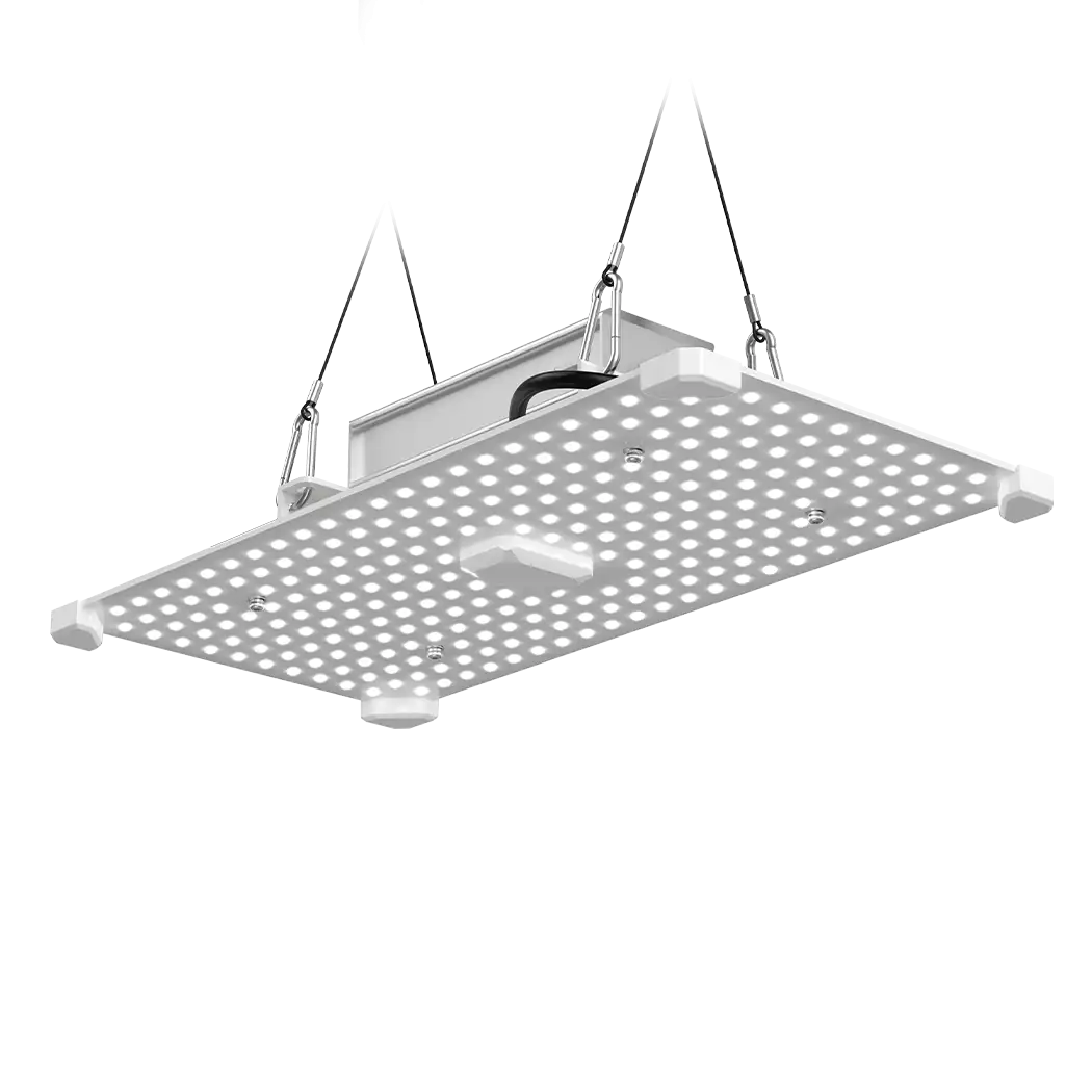 Black Blade 100W LED